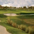 Golfing in Florida: A Year-Round Adventure for Avid Golfers